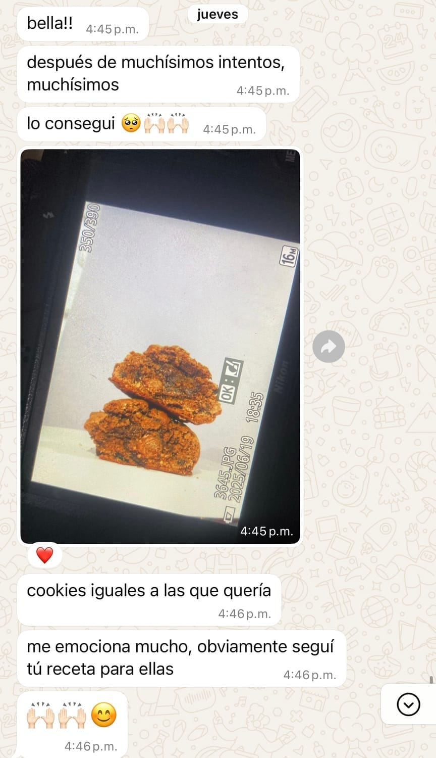 Captura real de WhatsApp de una alumna del curso